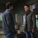 Image for article titled "Team Free Will" Wishes They'd Never Been Born